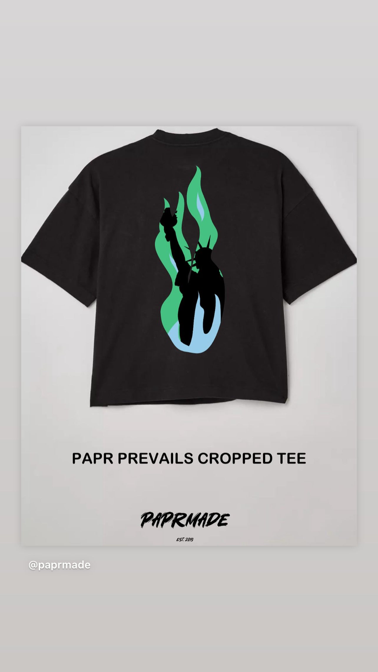 PAPR PREVAILS CROPPED TEE